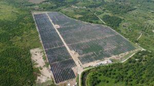 González y Cía Más Soluciones y GreenYellow: Alianza Estratégica para Construir el Vallado del Parque Caimán Cienaguero